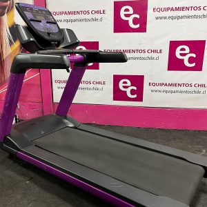 TROTADORA AMERICANA - PRECOR
