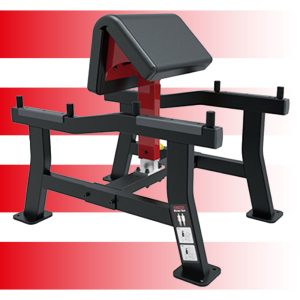 (PREVENTA) ARM CURL - SL