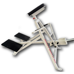 T-BAR ROW - BODYMASTERS