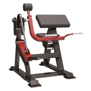 BICEPS CURL - SL